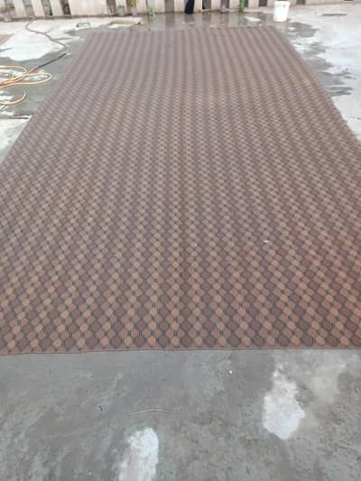 carpet