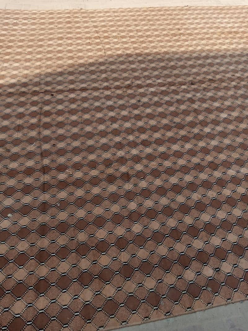 carpet 2