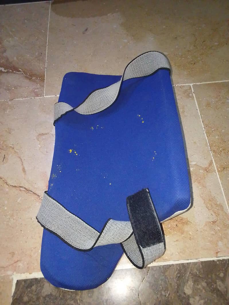cricket kit 6