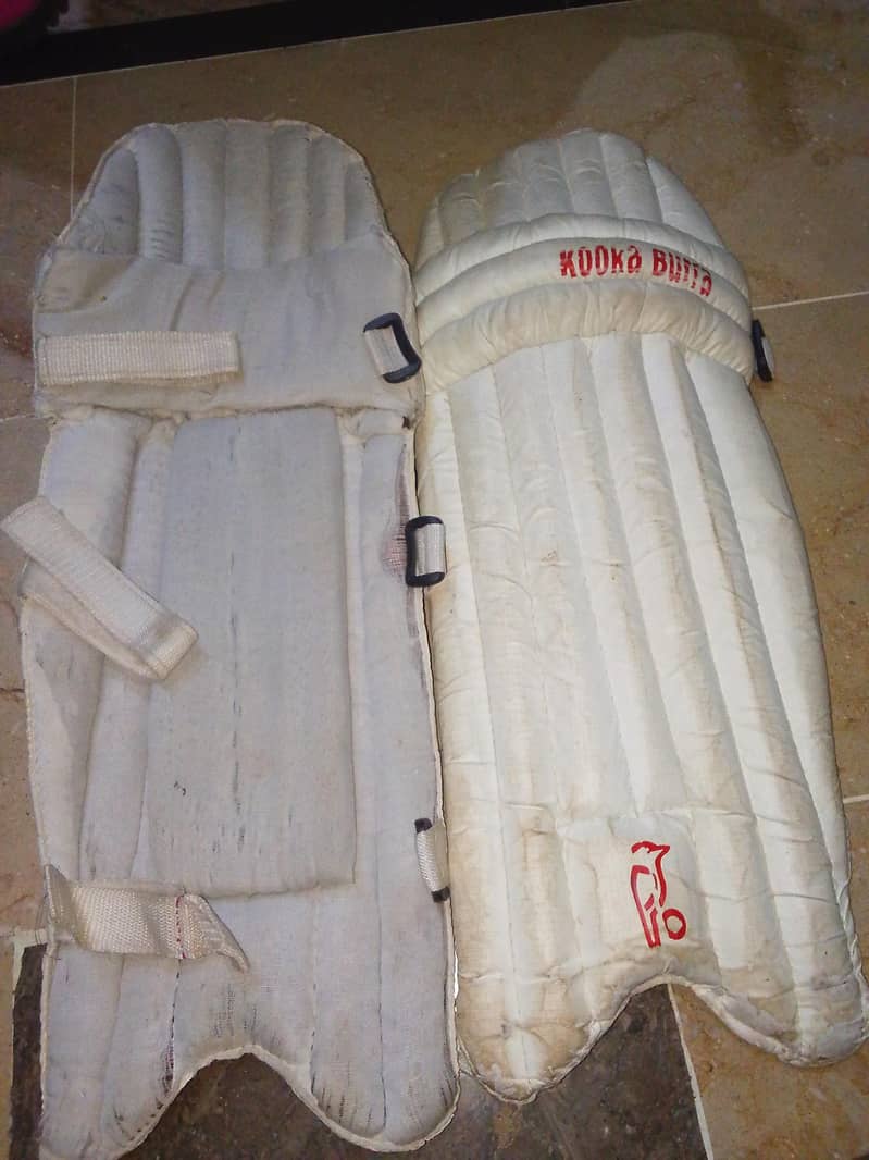 cricket kit 9