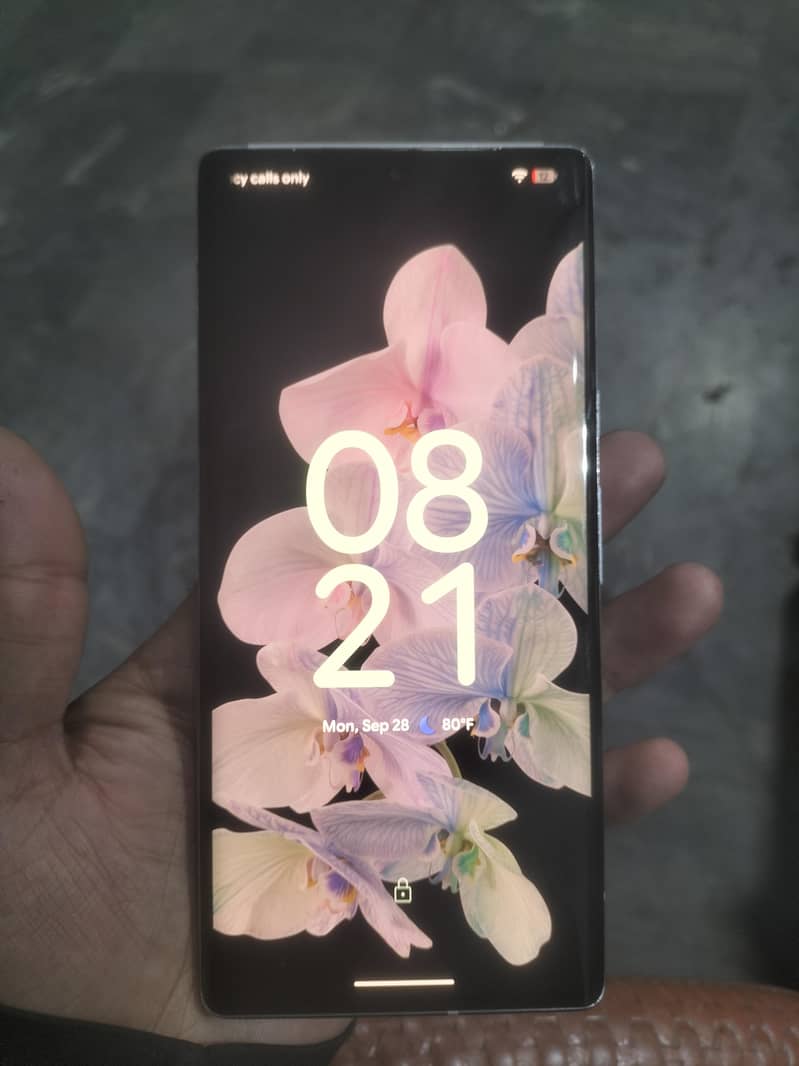 Google Pixel 6 Pro 1