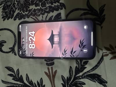 Apple iPhone X