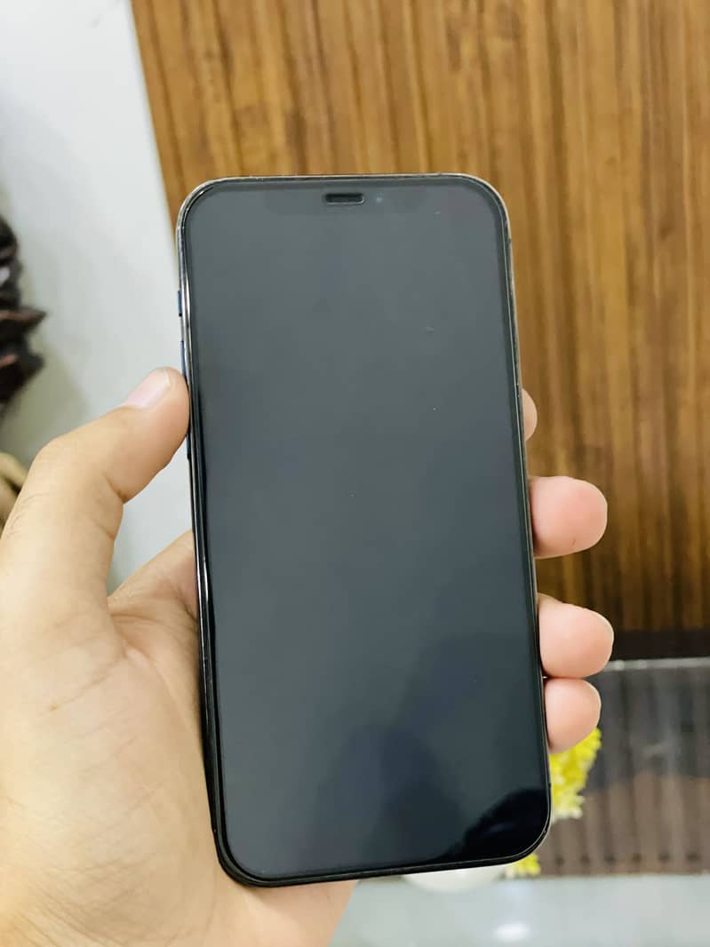 Apple iPhone 12 Pro 1