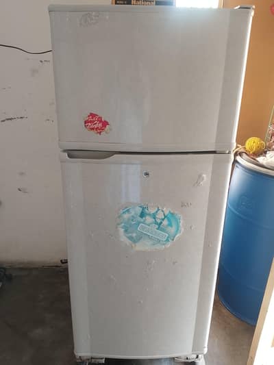 pel fridge