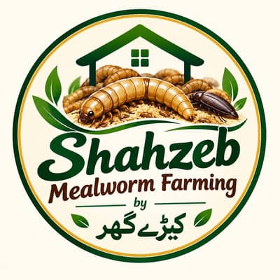 Shahzeb Rashid