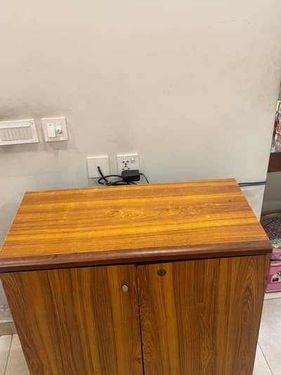 Compact Wooden Cabinet
