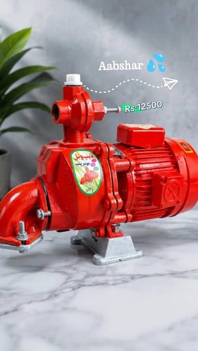 Aabshar Single Ampeller pump