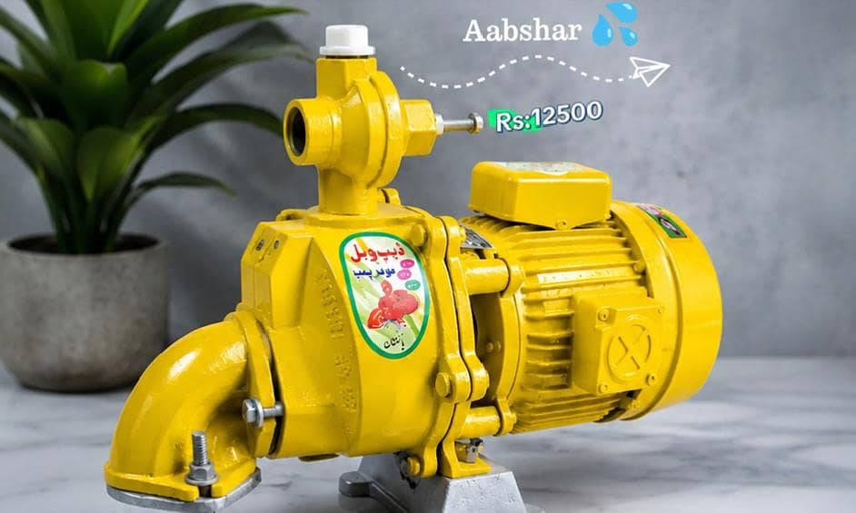 Aabshar Single Ampeller pump 1