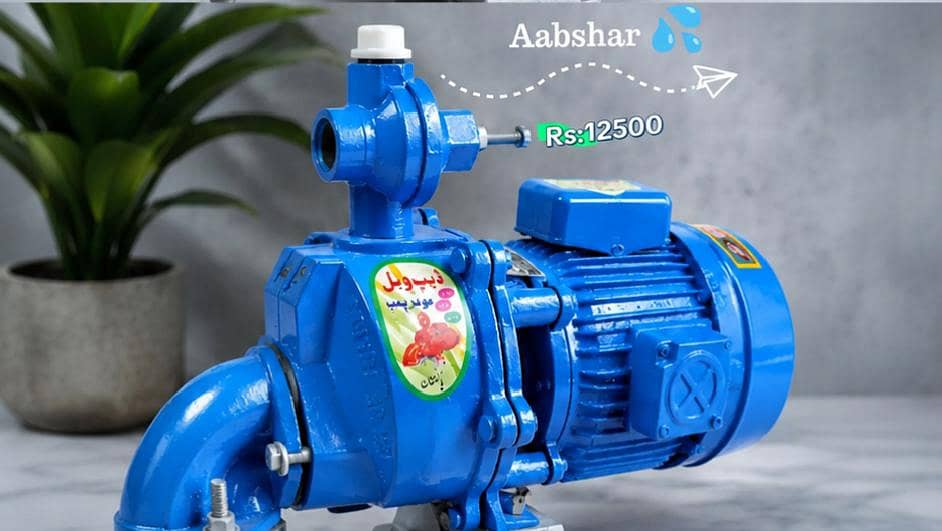 Aabshar Single Ampeller pump 3