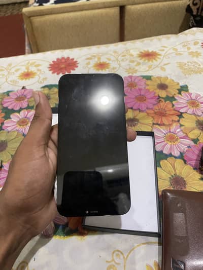 Iphone 12 pro max panal only