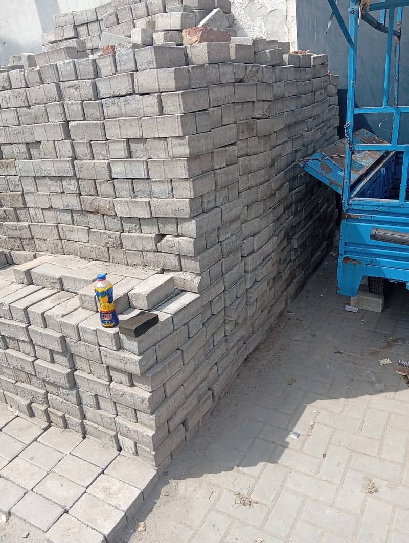 Paver 1