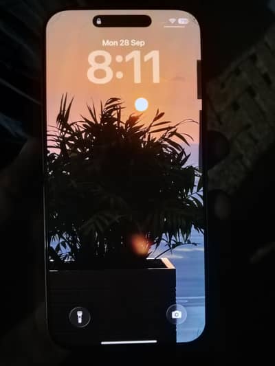 Apple iPhone 16 Pro Max