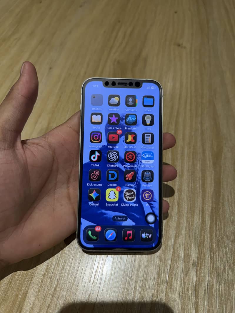 Apple iPhone 12 1