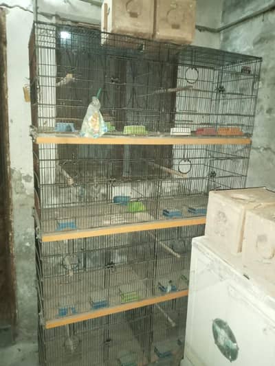 parrot cage for urgent sale
