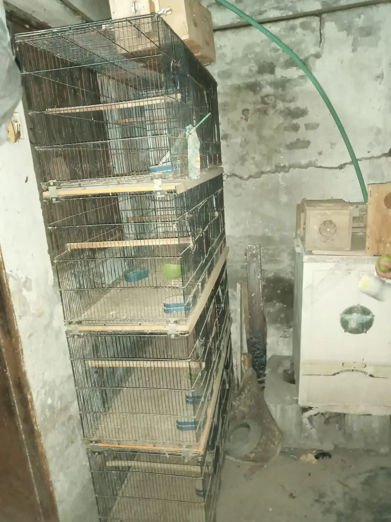 parrot cage for urgent sale — photo 2