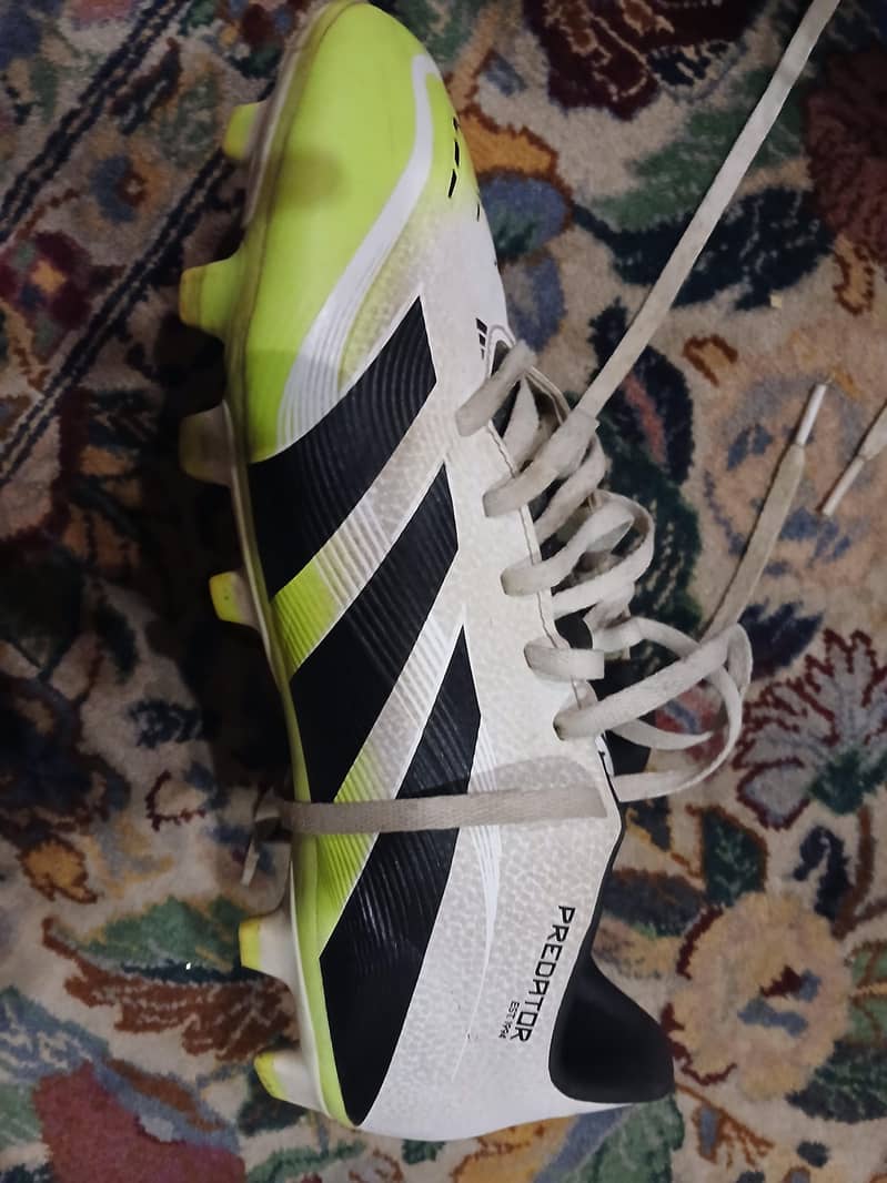 predators forbsale 1