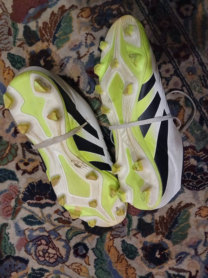 predators forbsale 3