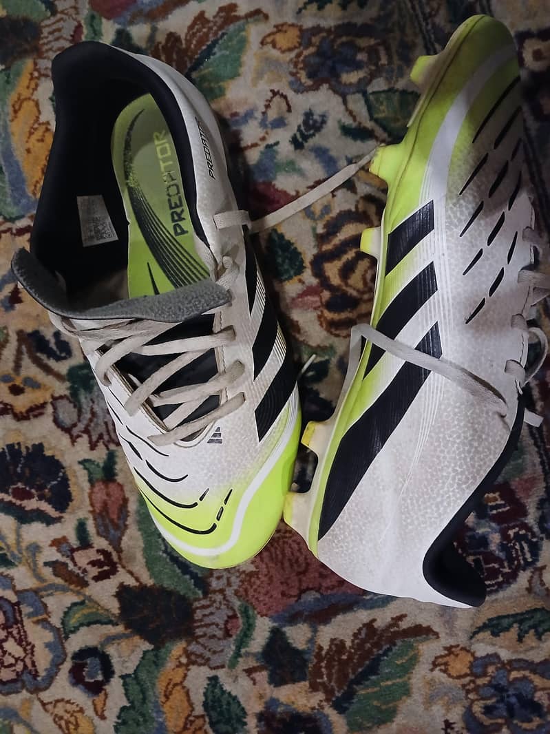 predators forbsale 4