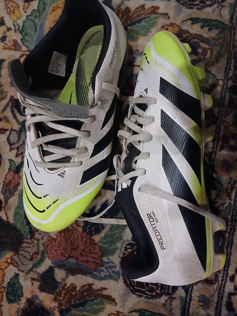 predators forbsale 5