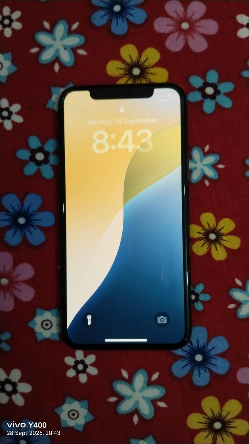 Apple iPhone XS 1