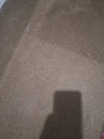 only 1yr used carpet