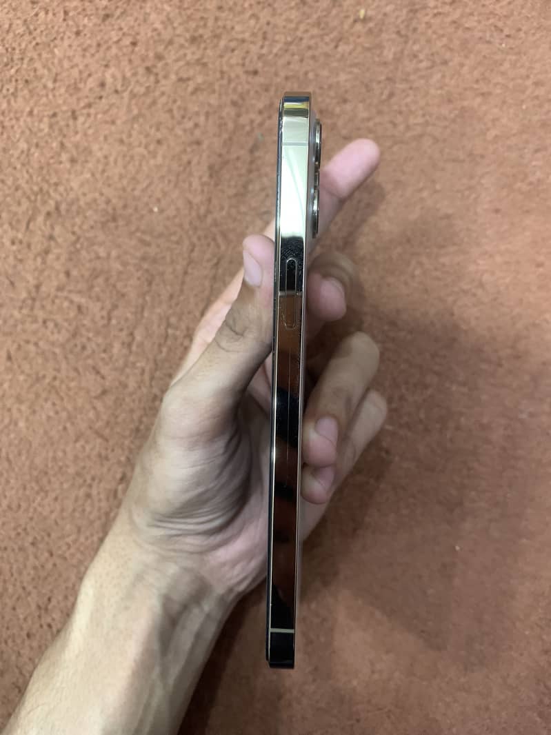 Iphone 12 Pro Max 3