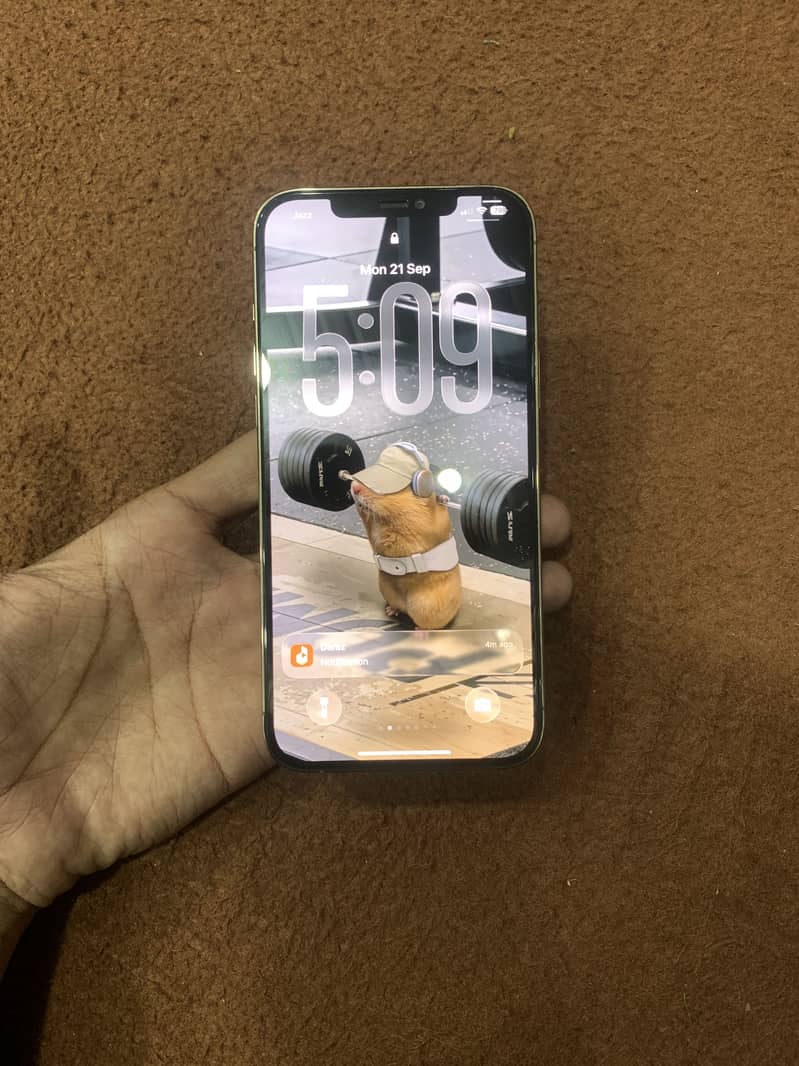 Iphone 12 Pro Max 5