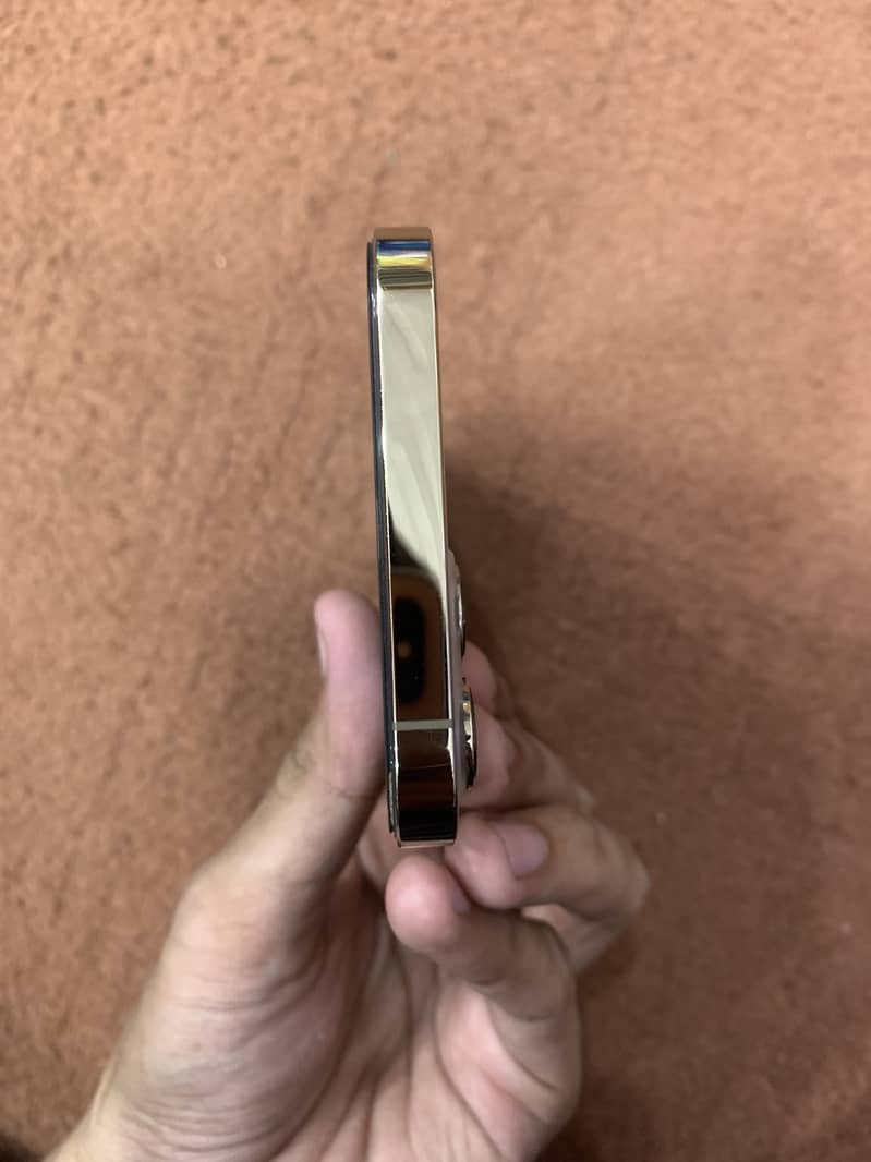 Iphone 12 Pro Max 6