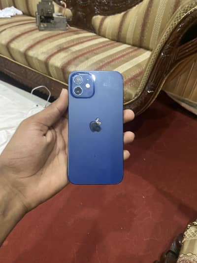 Apple iPhone 12
