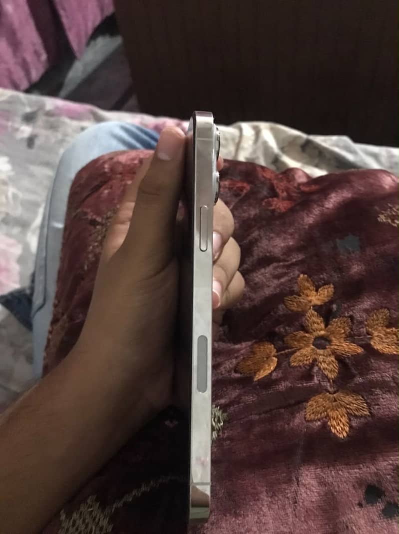 Iphone 13 pro max 1