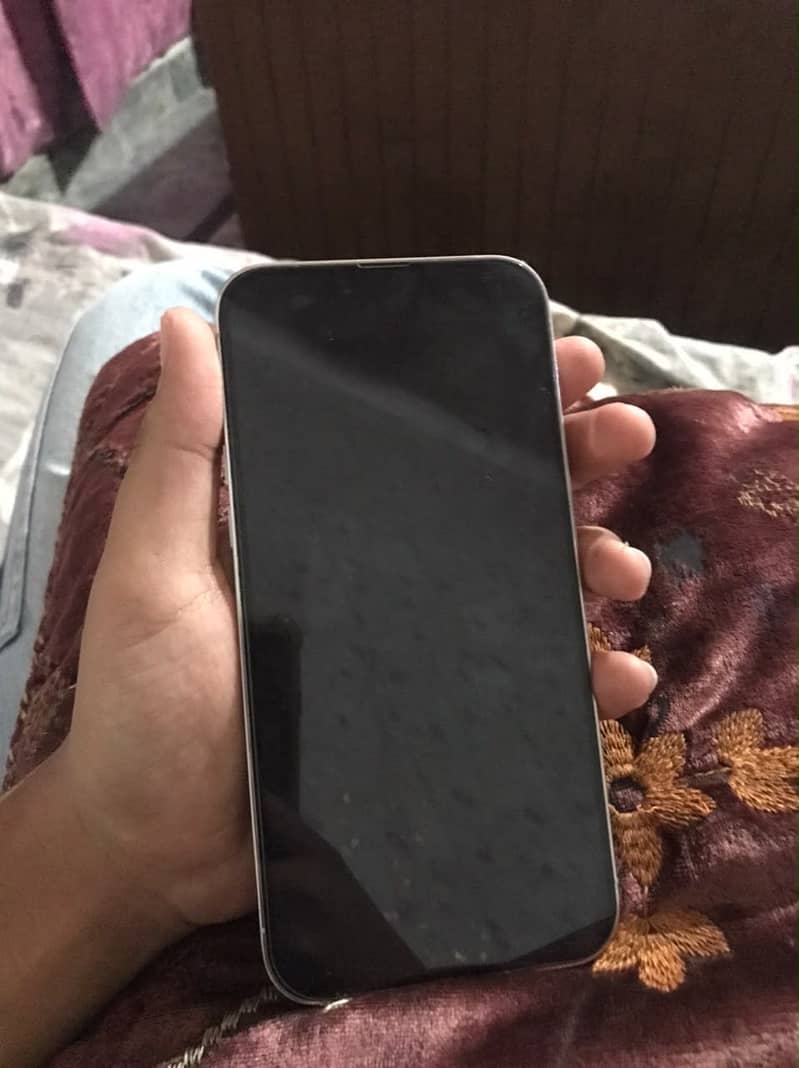 Iphone 13 pro max 2