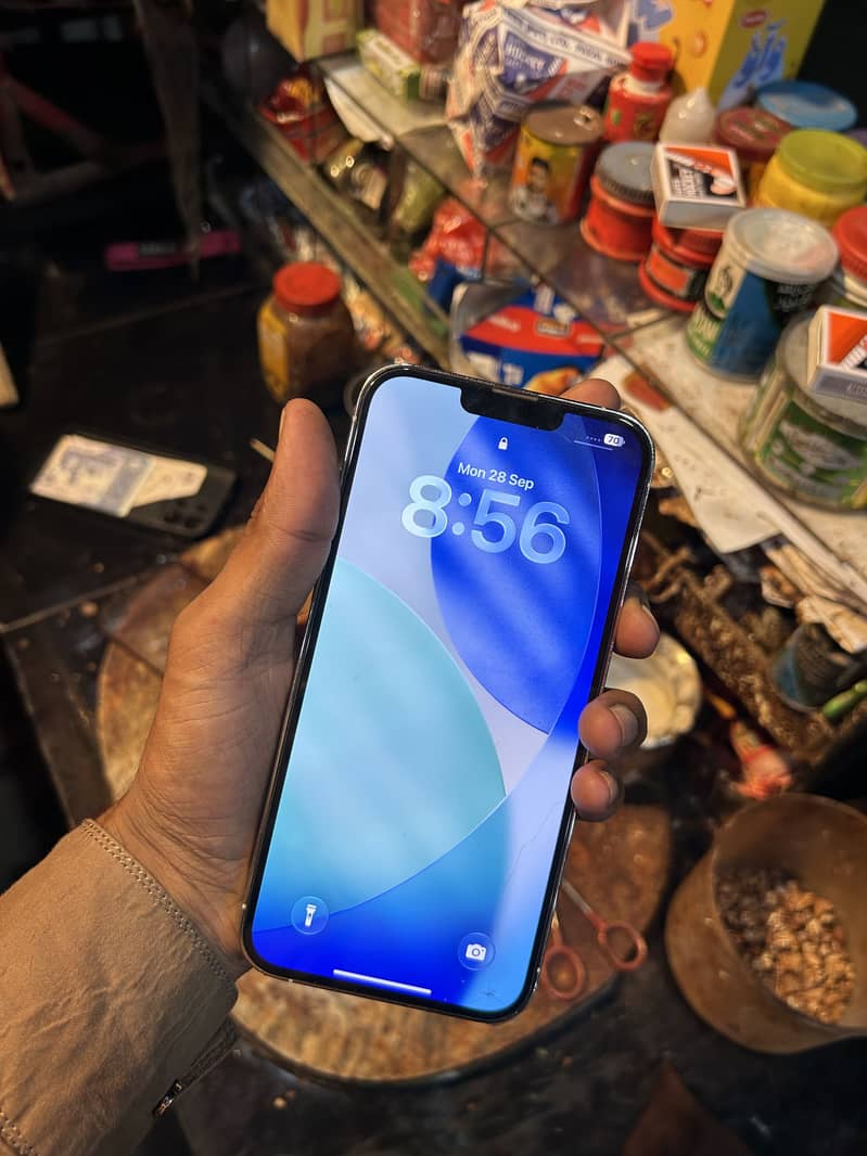 Apple iPhone 13 Pro Max 1
