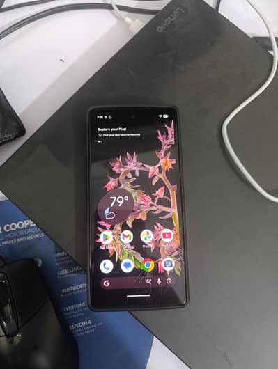 Google Pixel 6 Panel Only – Broken Glass (Touch 100% Working)