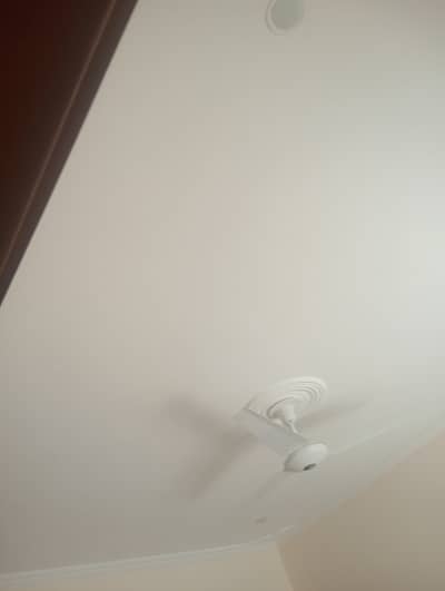 4marla 1Bed 1 bath basement portion for rent in G 13 4 islamabad