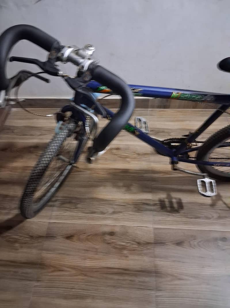 Bicycle 0