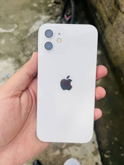 Apple iPhone 12 iCloud lock