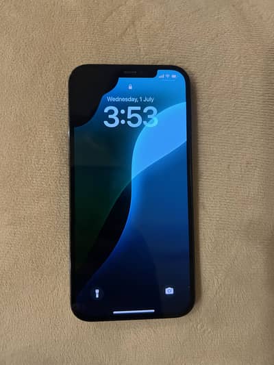 Apple iPhone 12 Pro Max