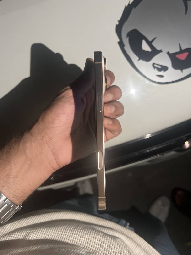 Apple iPhone 16 Pro Max 1