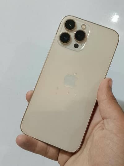Apple iPhone 13 Pro Max