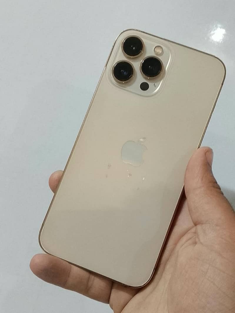 Apple iPhone 13 Pro Max 0