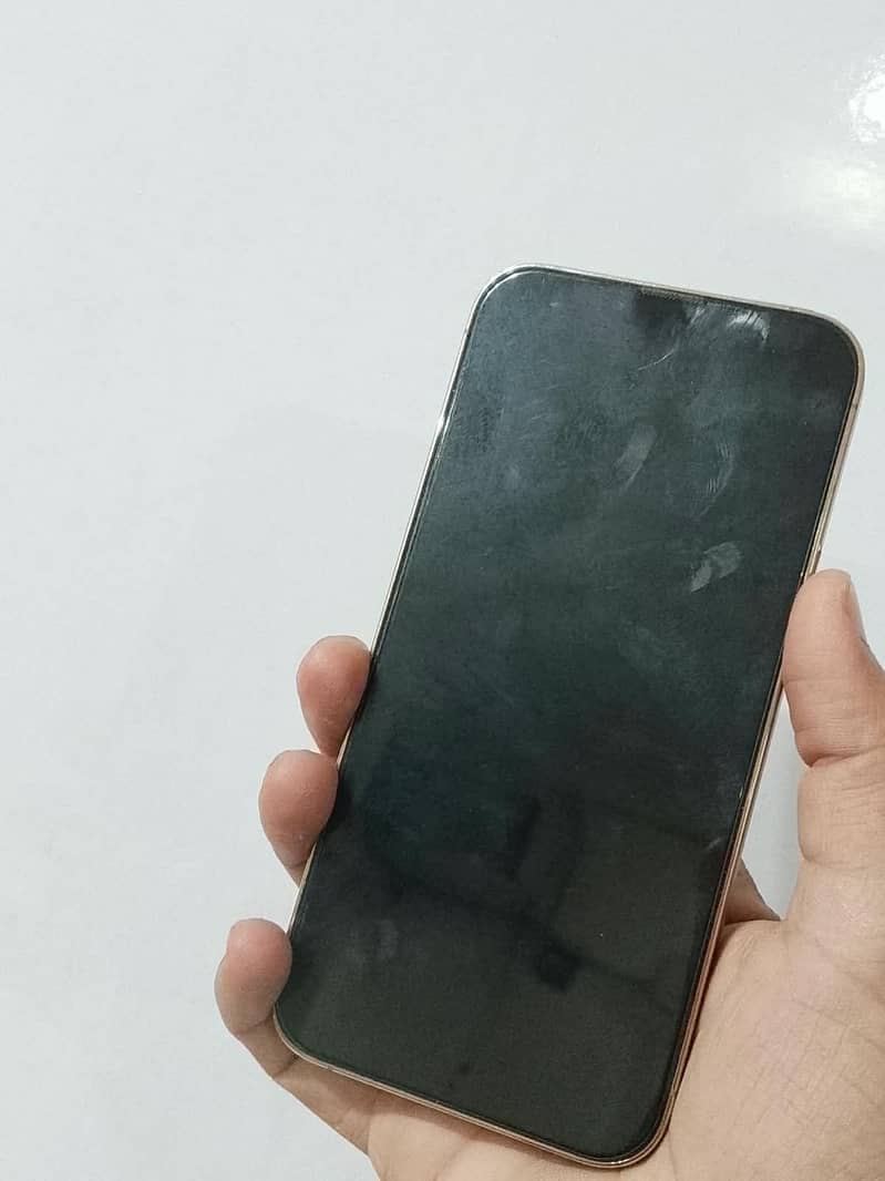 Apple iPhone 13 Pro Max 1