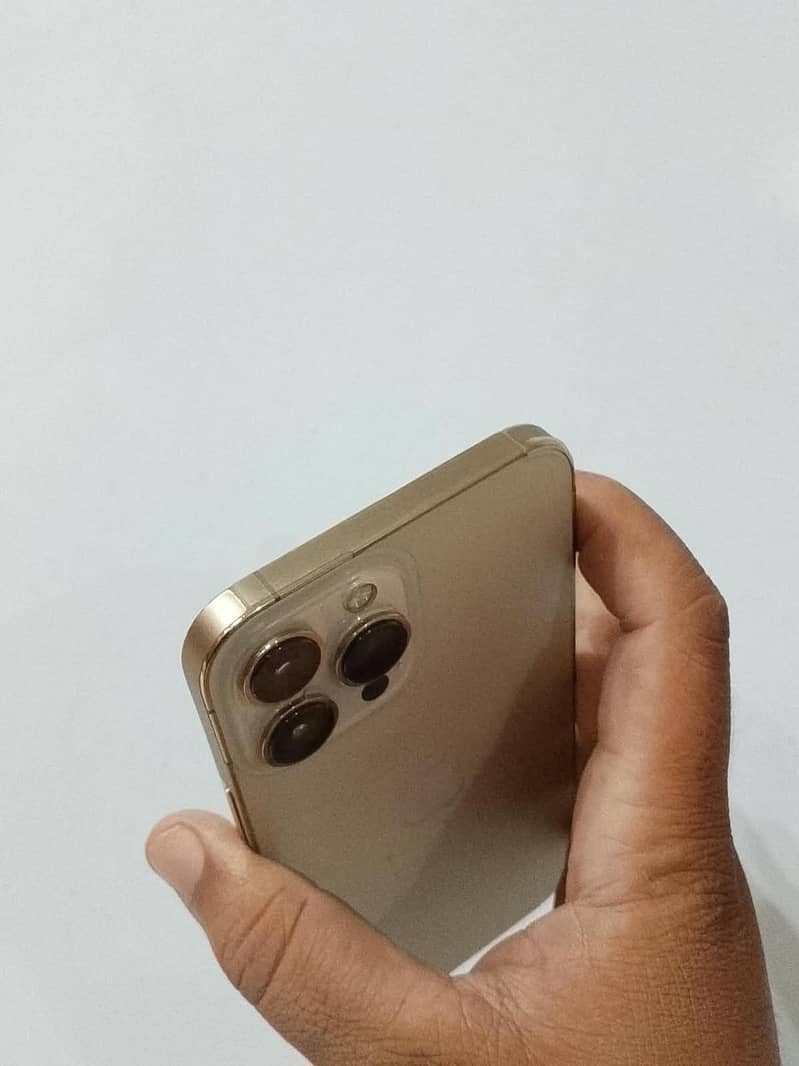 Apple iPhone 13 Pro Max 2