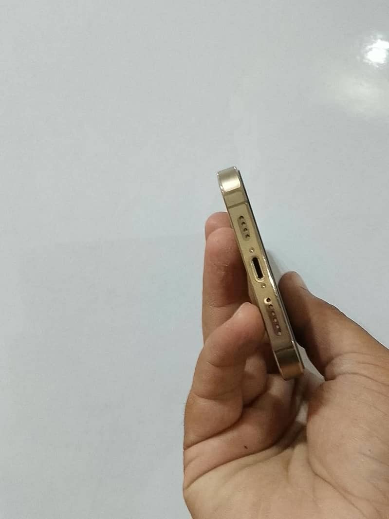 Apple iPhone 13 Pro Max 3