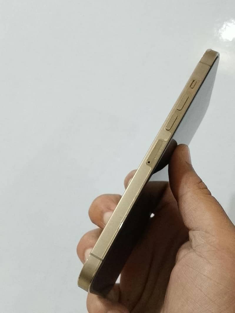 Apple iPhone 13 Pro Max 5
