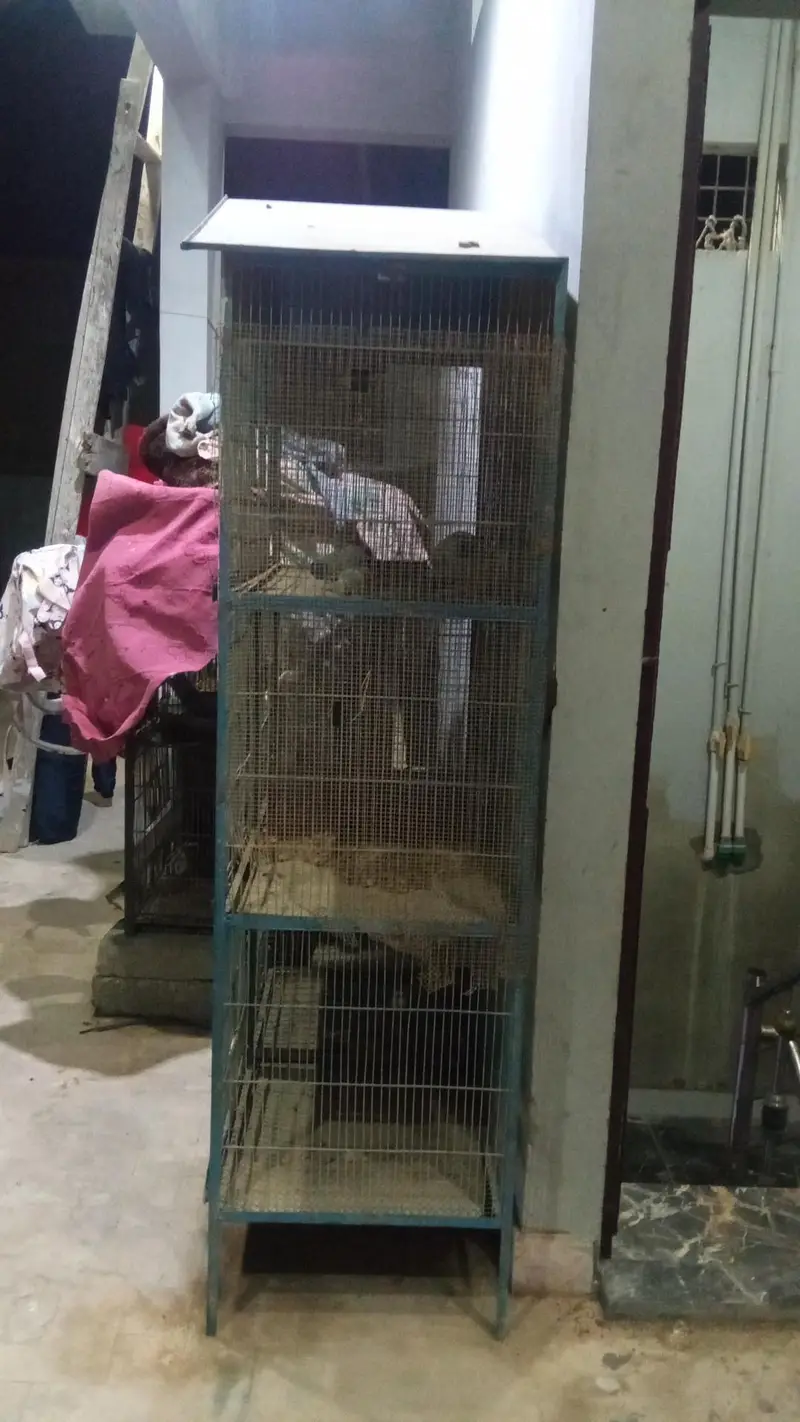 **ANGEL BASED CAGE FOR SALE** — photo 2