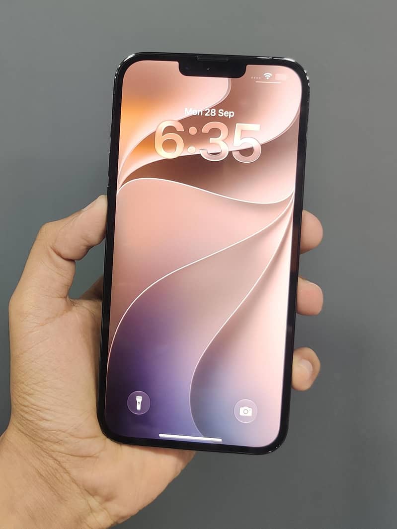 Apple iPhone 13 Pro Max 5