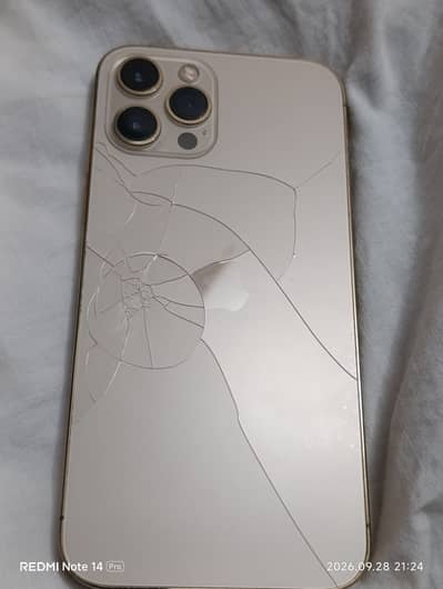 Apple iPhone 12 Pro Max