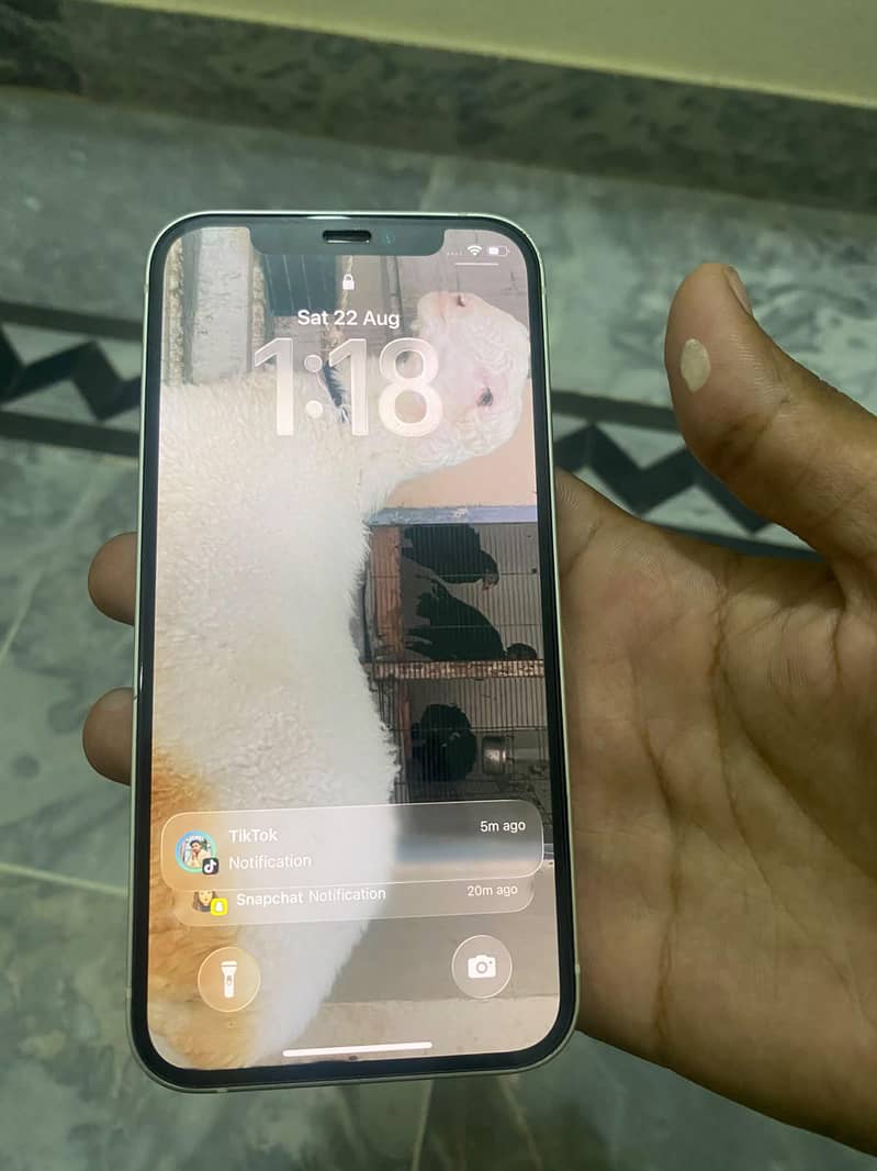 Apple iPhone 12 9