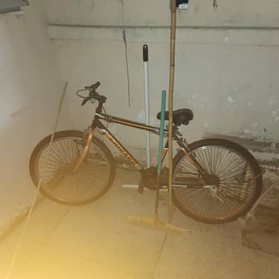 chigago mountain bike