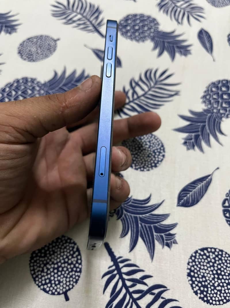Apple iPhone 12 3